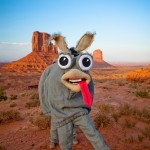 IMG_6511-SMALL-for-web